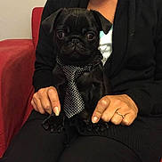 Léo participe au concours pour gagner de l'argent avec cette photo :