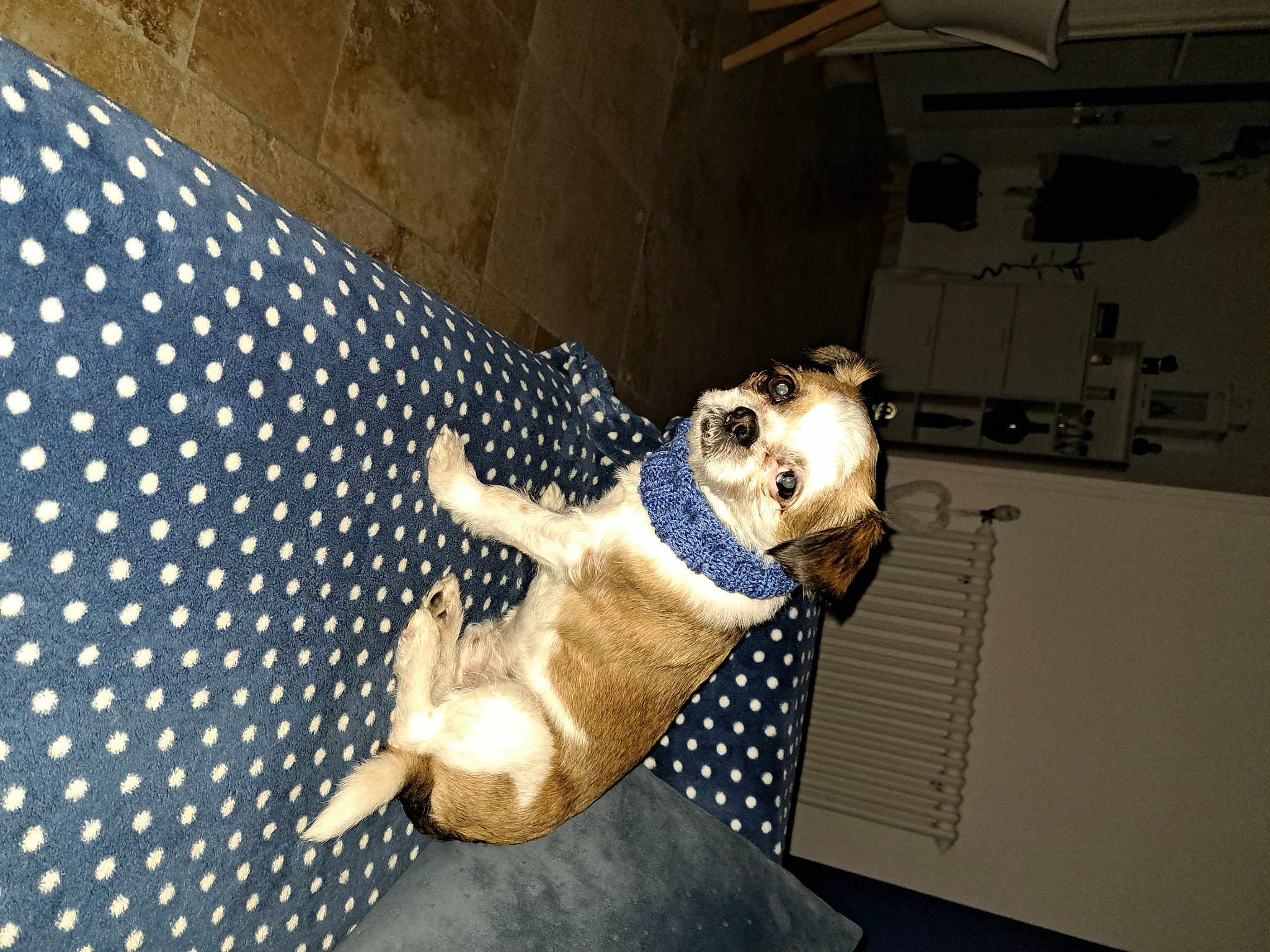 Oreo