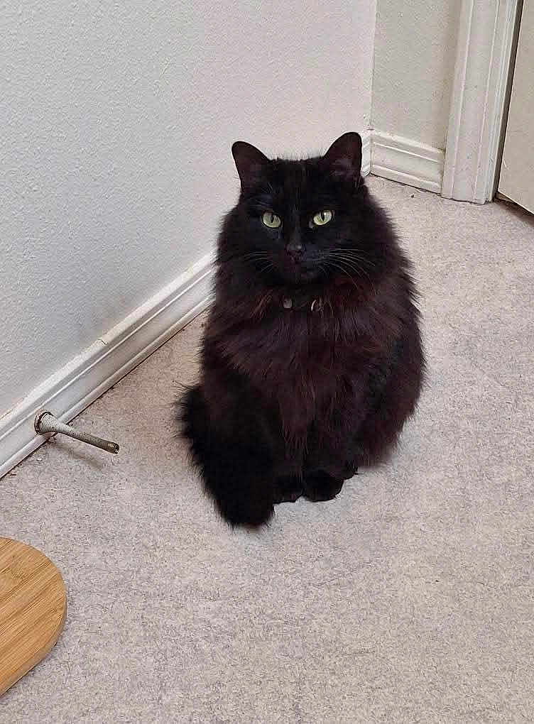 Luna
