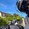 Onyx a rejoint le concours — aidez-le/la à gagner de superbes lots ! dog, small_dog, goggles, protective_gear, helmet, motorcycle, rider, pet, animal, outdoor, sunny, blue_sky, garden, hedge, house, street, vehicle, travel, portrait, funny