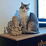 animal, cabinet, cat, decor, electronics, fluffy, furniture, ganesha, gray_cat, household, indoor, living_room, pet, relaxing, shadow, sitting, statue, television, toys, wood