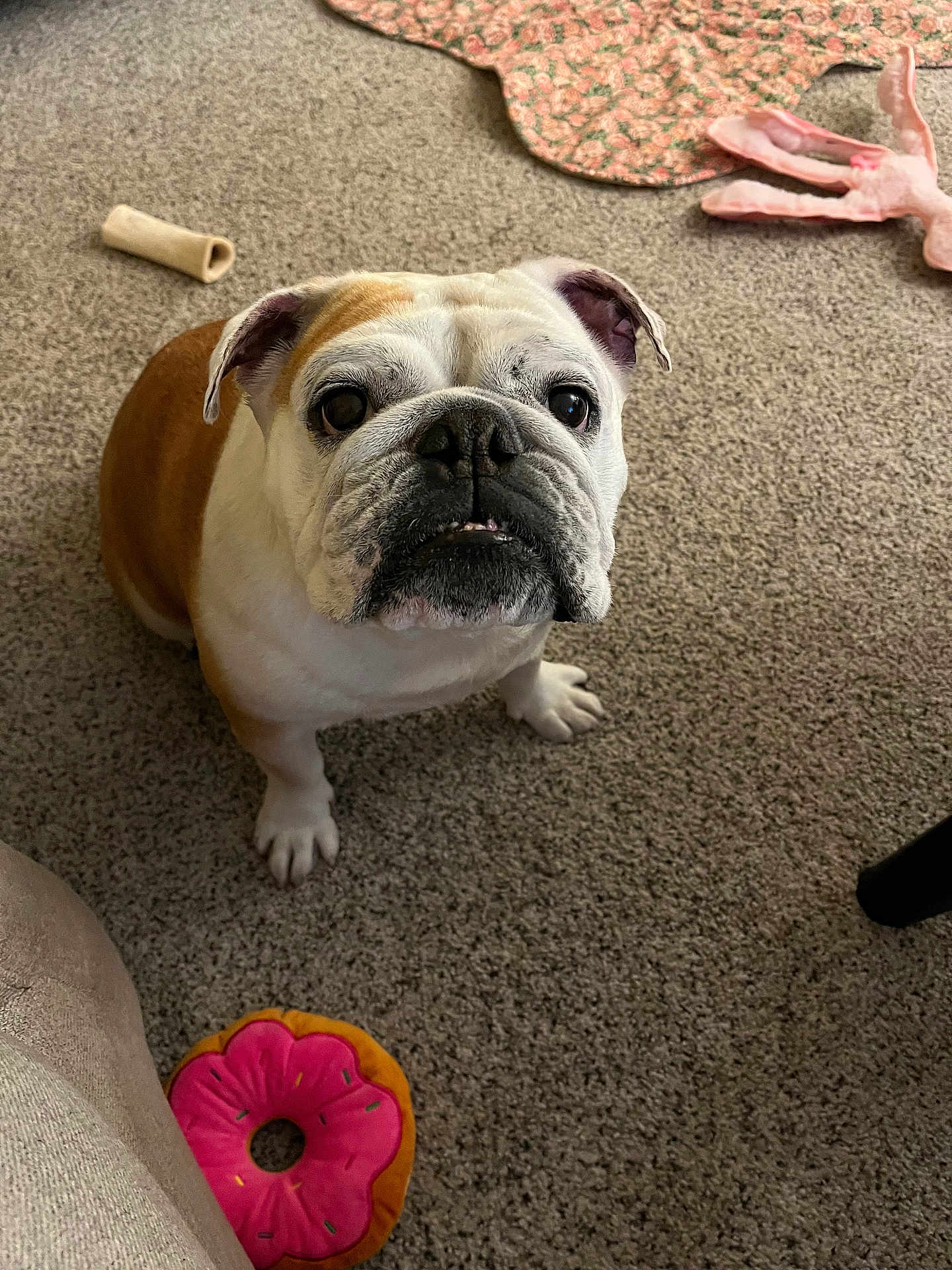 Lola