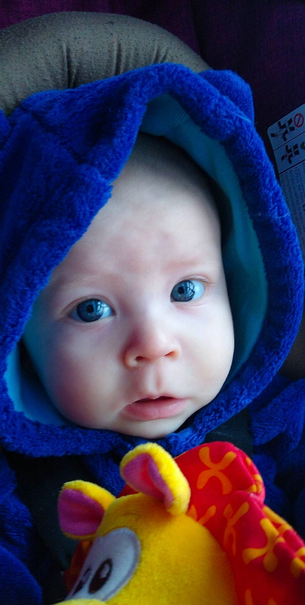 Pheonix is registered to the contest to win money with this photo: baby, beauty, blue, cheek, child, close_up, eye, face, head, iris, lip, mouth, nose, person, photography, portrait_photography, skin, smile, textile, toddler