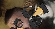 Max is registered to the contest to win money with this photo: animal, brown_couch, casual, closeup, couch, decorative_pillow, disguise, dog, face_overlay, funny, glasses_overlay, home, indoor, person, pet, red_shirt, relaxation, resting, selfie, tattoo