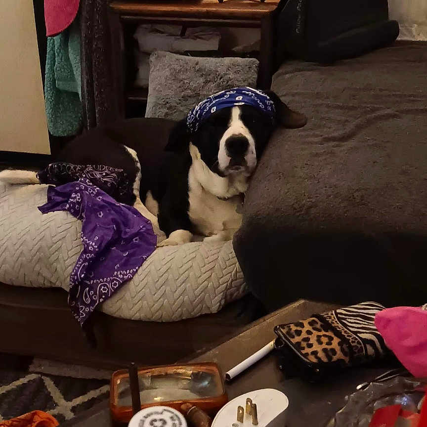 Max
