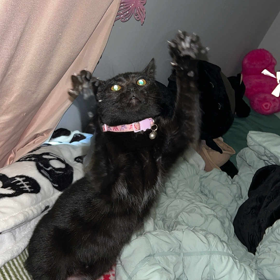 Lucy