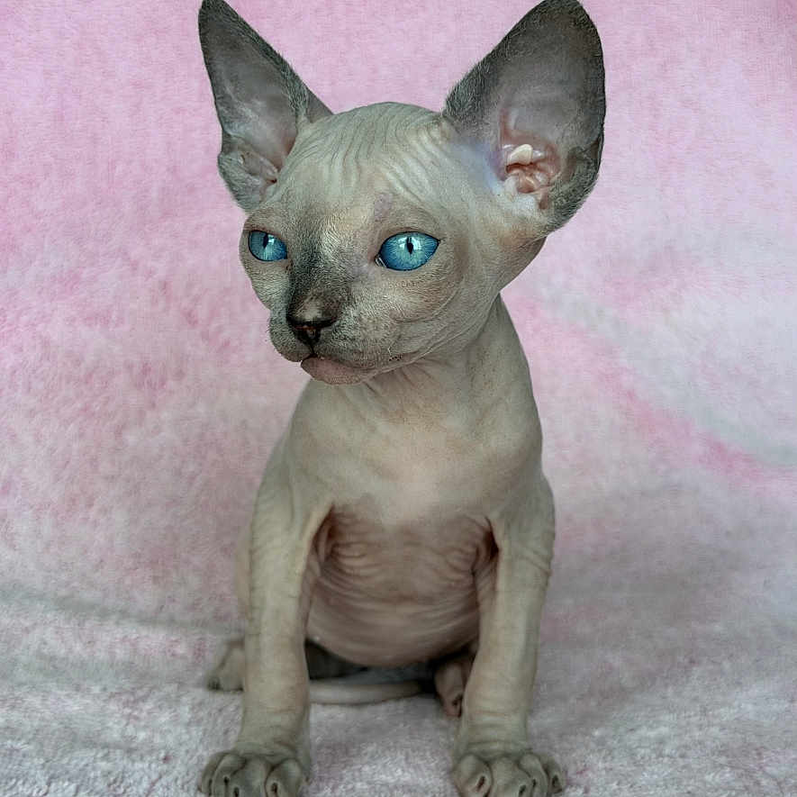 Ruby
