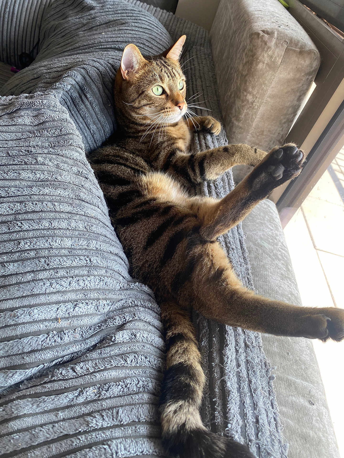 Kali
