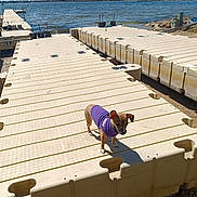Chiquita is registered to the contest to win money with this photo: dog, puppy, purple_sweater, floating_dock, lake, water, outdoor, sunny, daytime, sky, trees, shoreline, waves, small_dog, pet, canine, nature, recreation, wooden_dock, curious