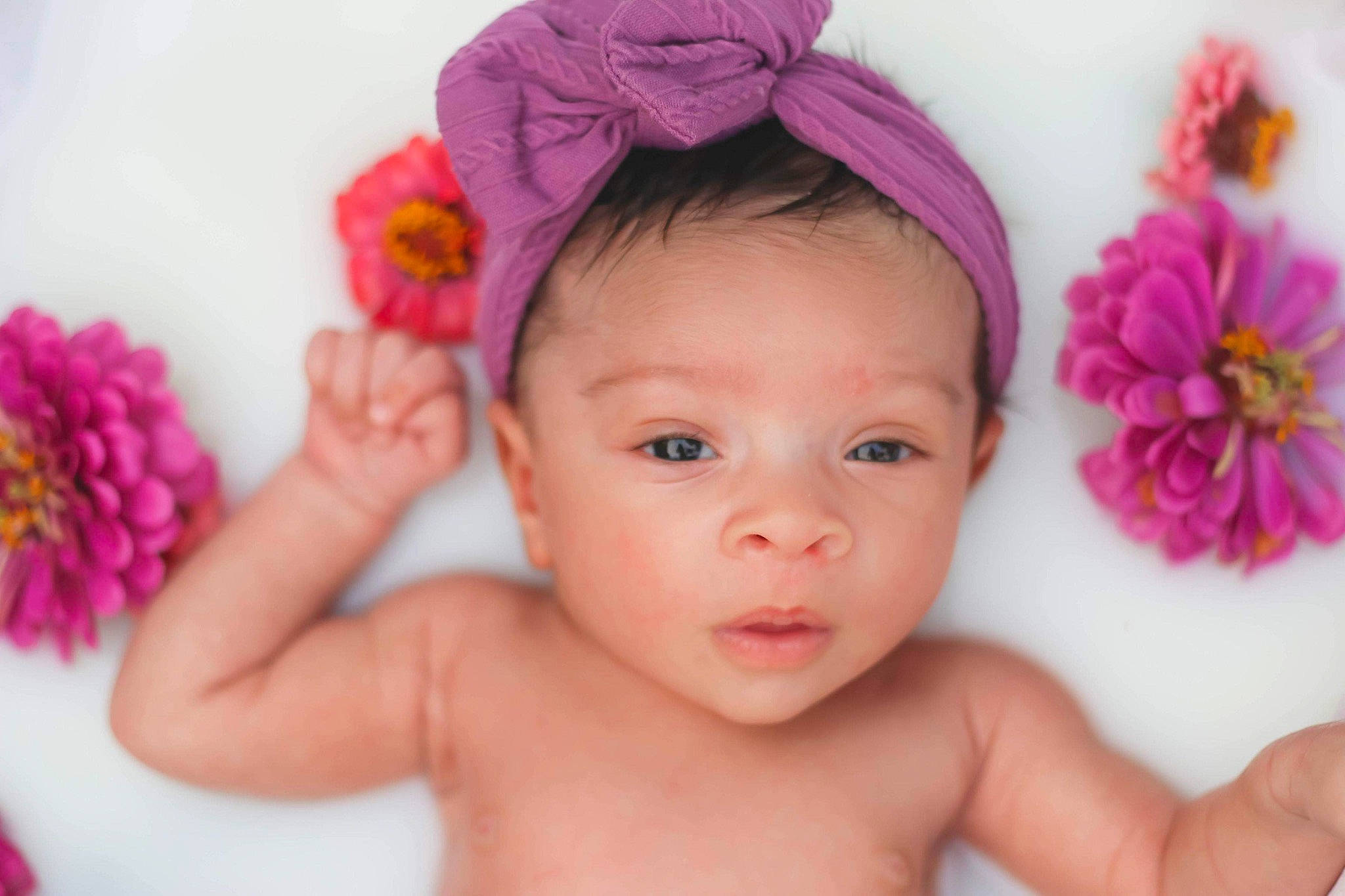 Kailani joined the competition — help win amazing prizes! arm, baby_toddler_clothing, cheek, chin, eye, eyebrow, face, finger, flower, hand, happy, head, iris, lip, organ, person, petal, pink, plant, skin
