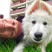 Tom participe au concours pour gagner de l'argent avec cette photo : man, dog, white_dog, grass, outdoor, building, balcony, face, pet, animal, close_up, portrait, fluffy, ears, nose, head, smile, casual, hat, nature