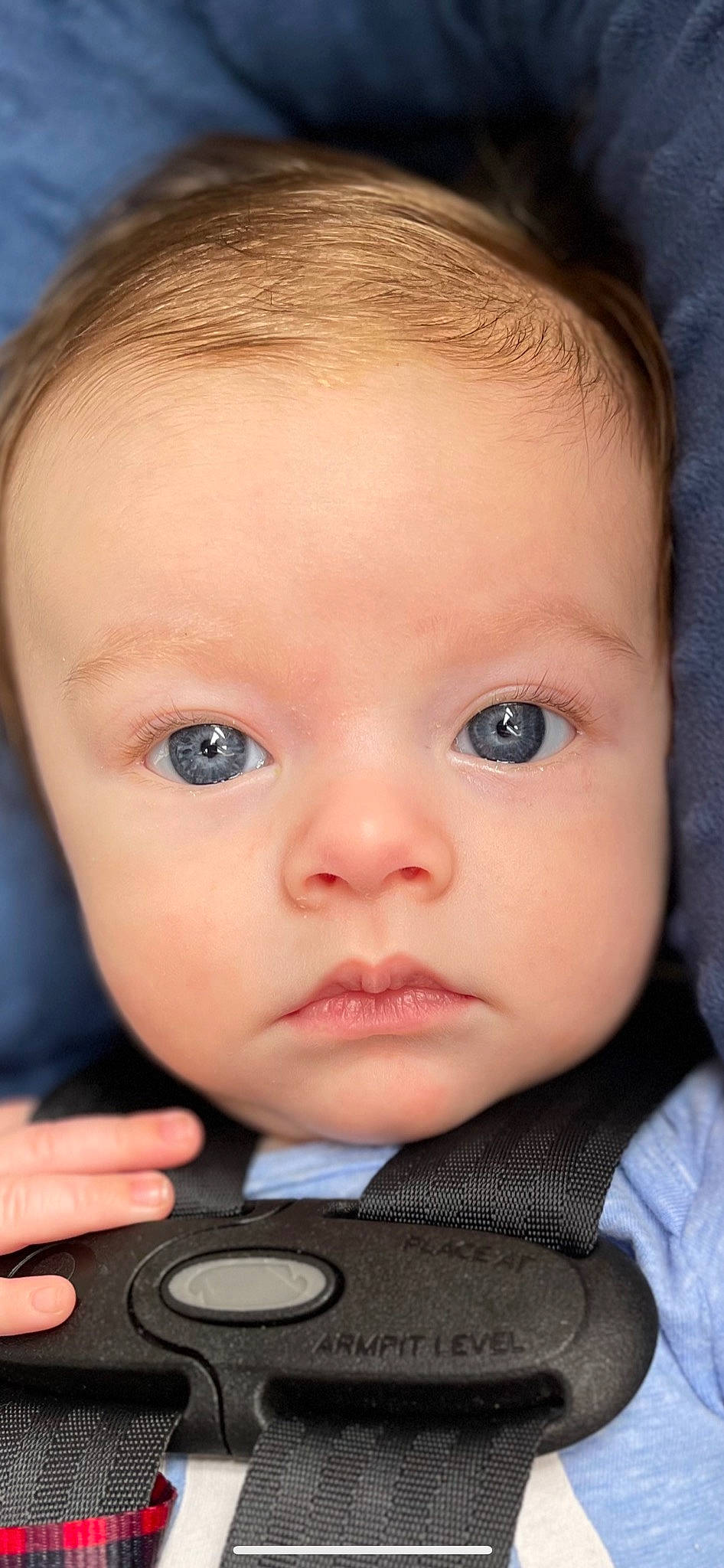 Aiden Maverick joined the competition — help win amazing prizes! baby, blue, cheek, child, chin, ear, eyebrow, eyelash, facial_expression, flash_photography, forehead, iris, lip, mouth, nose, organ, person, photograph, product, skin