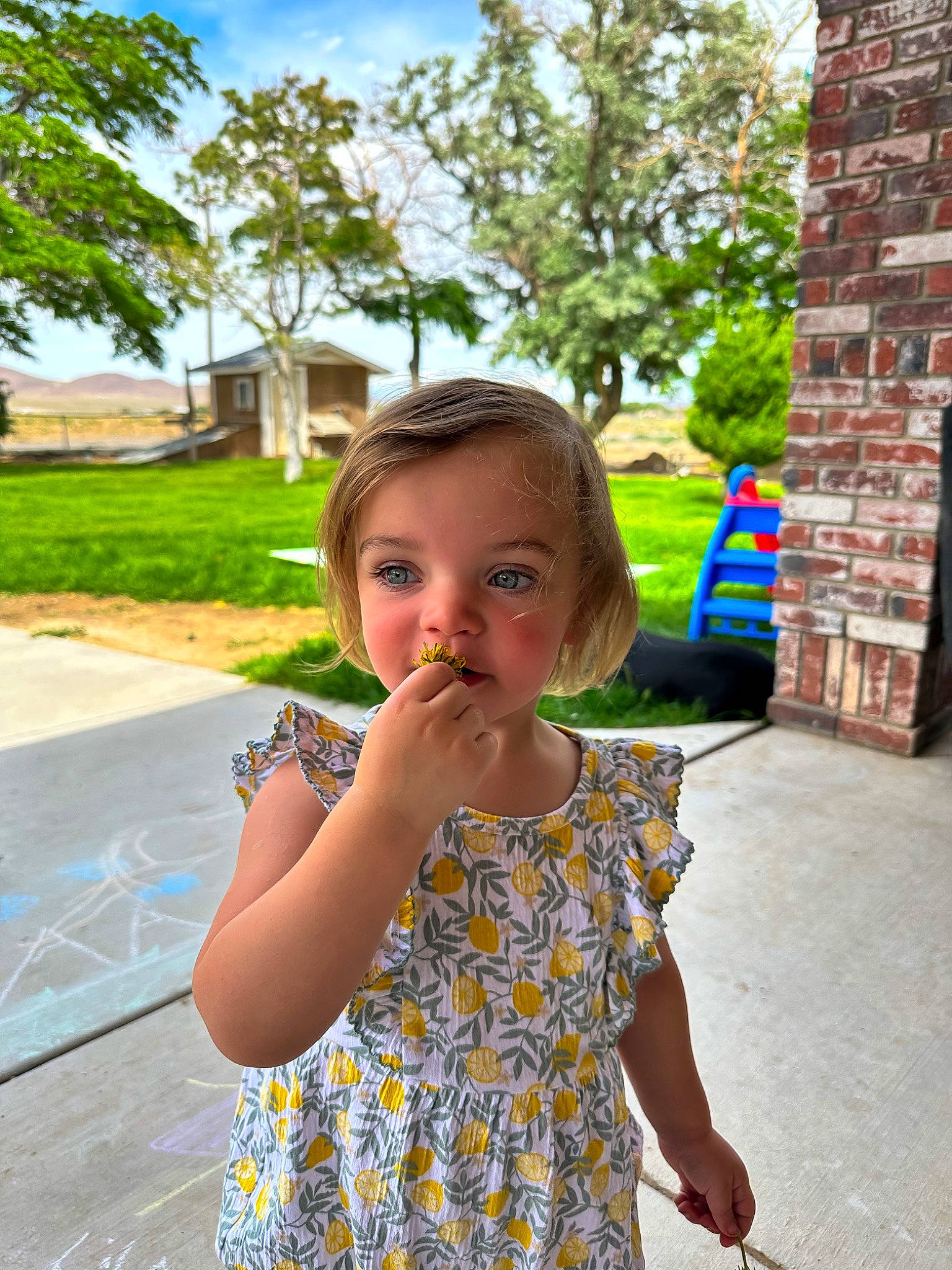 Lila is registered to the contest to win money with this photo: asphalt, brick, child, cloud, day_dress, daytime, electric_blue, fun, grass, happy, leaf, leisure, person, plant, recreation, sky, summer, toddler, tree, vacation