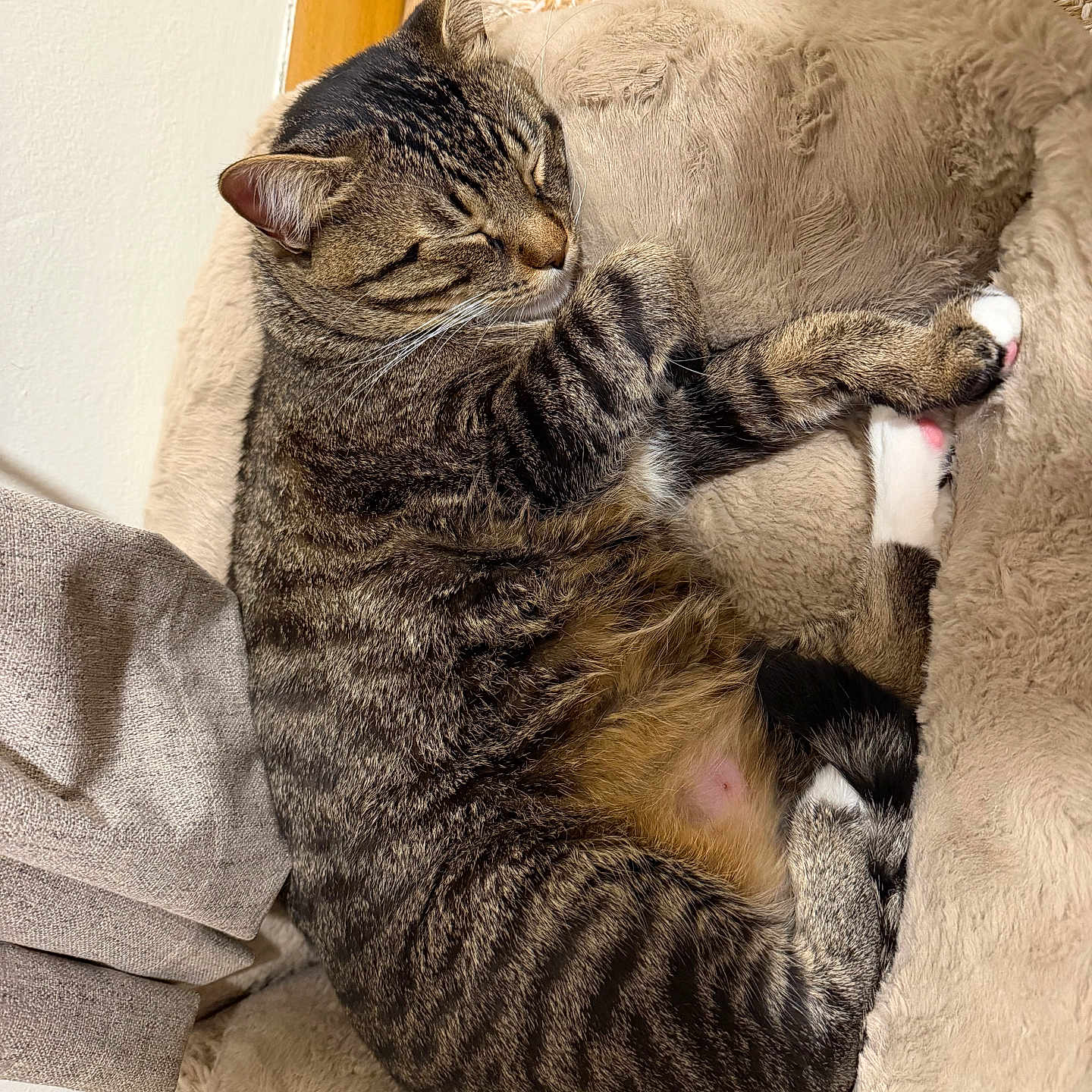 Milo