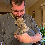 Adira joined the competition — help win amazing prizes! animal, beard, casual_clothing, cozy, cute, dog, holding, human, indoor, living_room, man, pet, plant, portrait, puppy, shirt, smiling, table, warm_lighting, window