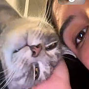 Yuray Hernandez joined the competition — help win amazing prizes! cat, person, face, hand, indoor, vent, door, selfie, close_up, relaxed, pet, video_call, blurry, smile, light, whiskers, fur, eye, nose, head