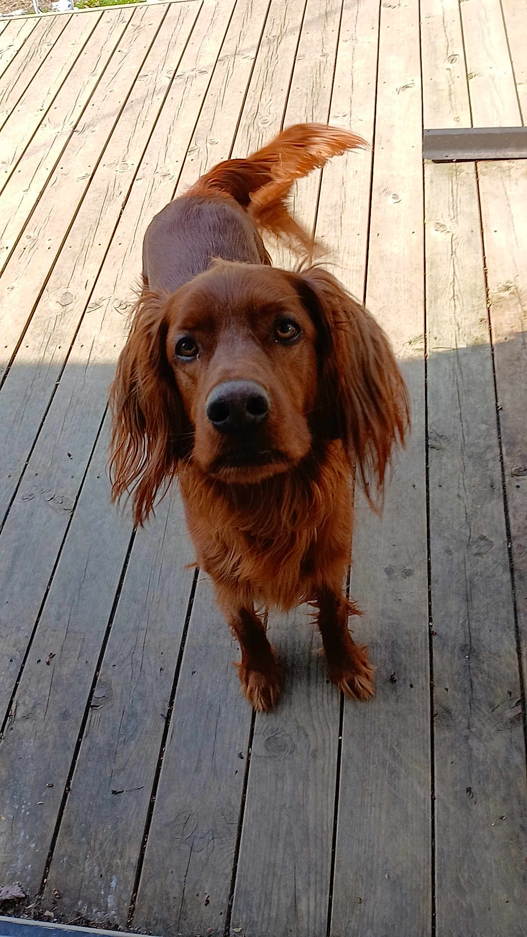 Charlie