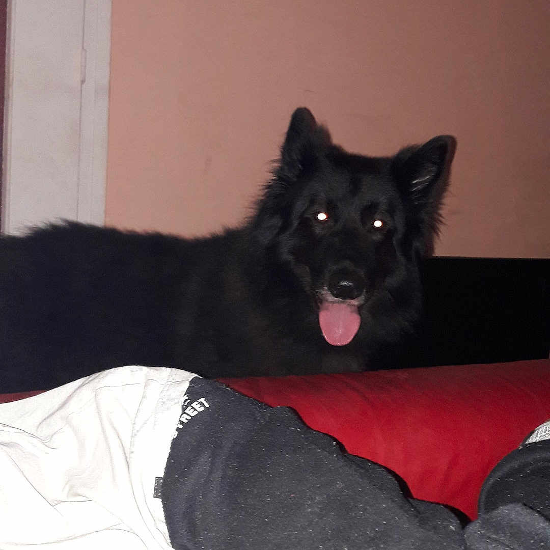 Inouck