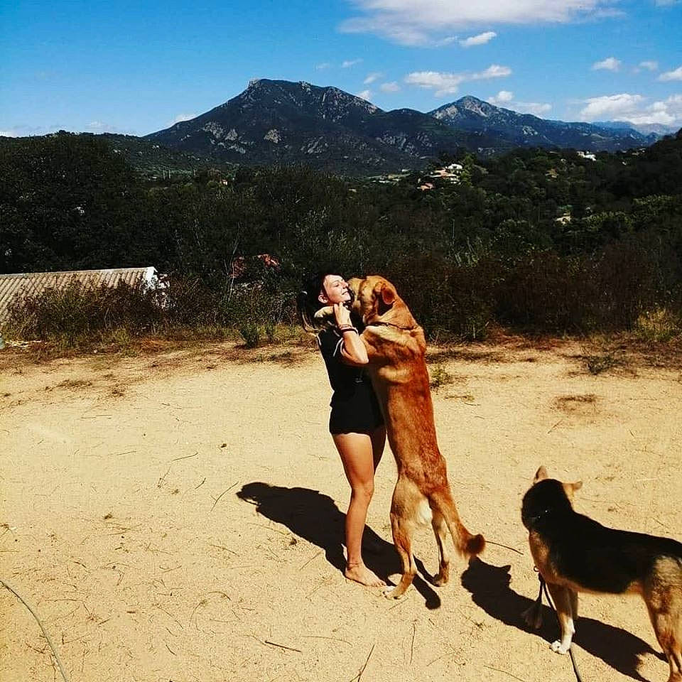 Dawa participe au concours pour gagner de l'argent avec cette photo : adventure, canidae, carnivore, cloud, dog, dog_hiking, dog_walking, fun, hiking, human, leg, mountain, mountainous_landforms, sky, sporting_group, summer, tourism, vacation, walking, wilderness