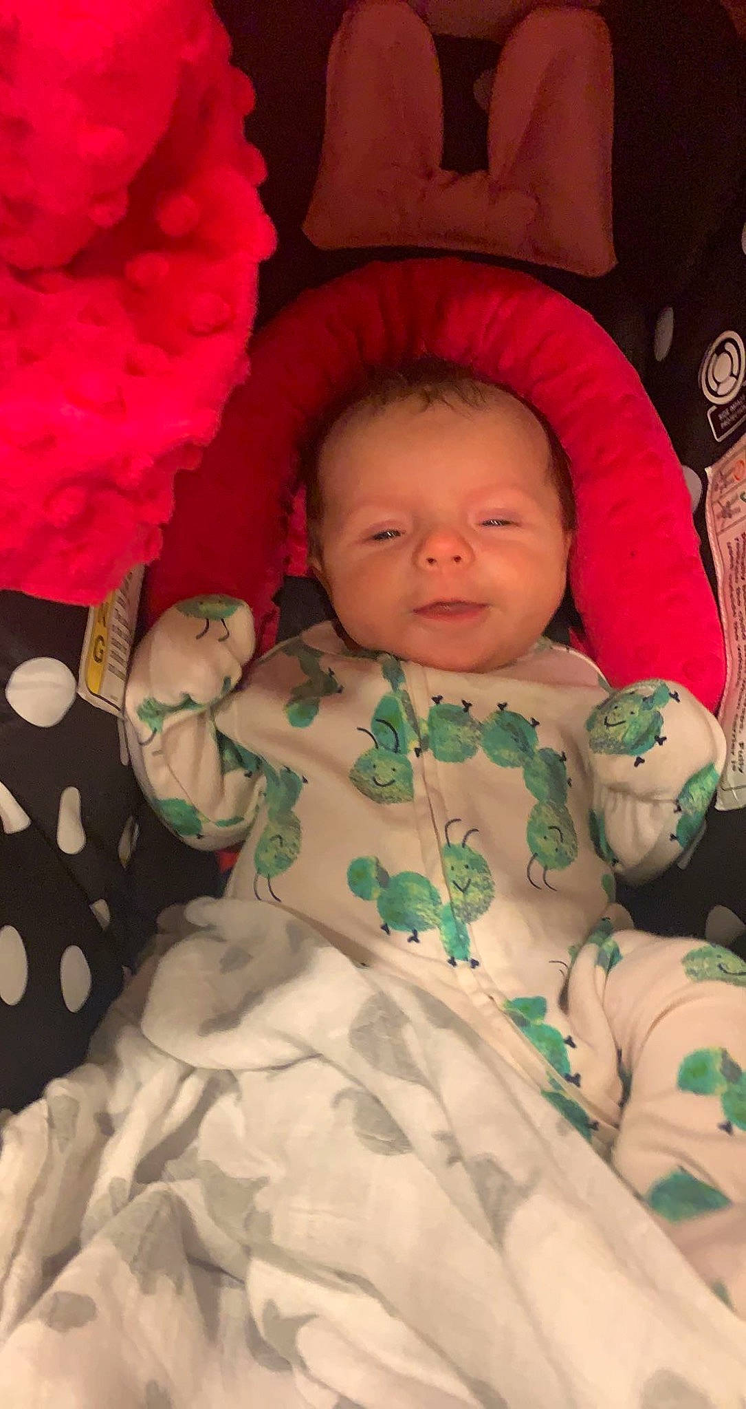 Ansley is registered to the contest to win money with this photo: baby, baby_toddler_clothing, cheek, chin, comfort, eye, face, facial_expression, head, human, leaf, mammal, outerwear, person, pink, product, skin, sleeve, smile, textile