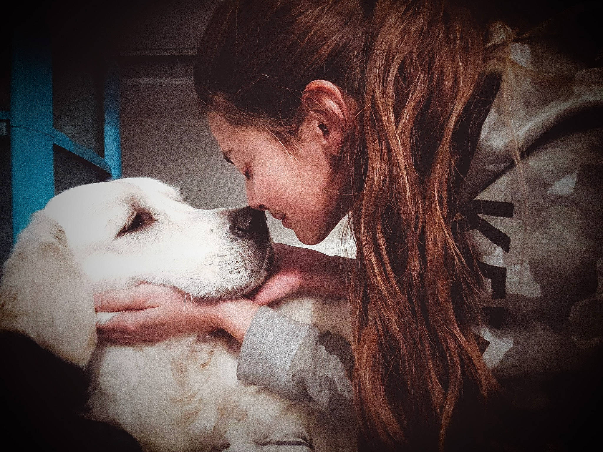 Olaf participe au concours pour gagner de l'argent avec cette photo : bangs, canidae, carnivore, companion_dog, dog, dog_breed, dress, ear, eyelash, flash_photography, fur, gesture, happy, jaw, love, nose, snout, sporting_group, surfer_hair, whiskers