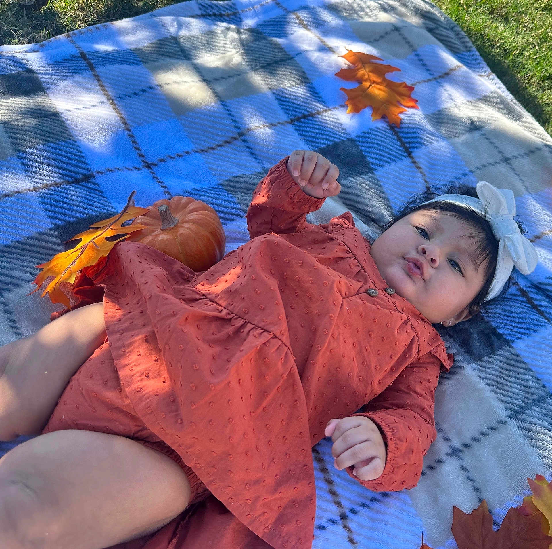 Emma is registered to the contest to win money with this photo: baby, infant, child, plaid_blanket, autumn_leaves, pumpkin, headband, outdoor, grass, fall, cute, portrait, lying_down, orange_clothing, seasonal, nature, smiling, baby_clothes, head, skin
