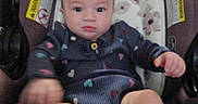 Harmony is registered to the contest to win money with this photo: automobile, baby, car_seat, child, clothing, eyes, face, hands, indoor, infant, legs, padded_seat, patterned_outfit, photography, portrait, safety_labels, serious_expression, sitting, socks, stuffed_animals