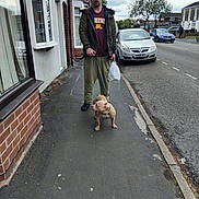Prarda is registered to the contest to win money with this photo: man, dog, sidewalk, leash, plastic_bag, car, street, tree, house, window, brick_wall, cloudy_sky, casual_clothing, urban, residential_area, pavement, outdoor, pet, walking, daytime