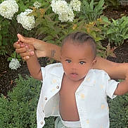 Demetrius Mcbride Jr is registered to the contest to win money with this photo: toddler, child, barefoot, greenery, white_shirt, mint_shorts, holding_hands, flowers, hydrangea, outdoor, sidewalk, brick_wall, person, young_child, nature, summer_clothing, baby, supporting_hands, plant, garden