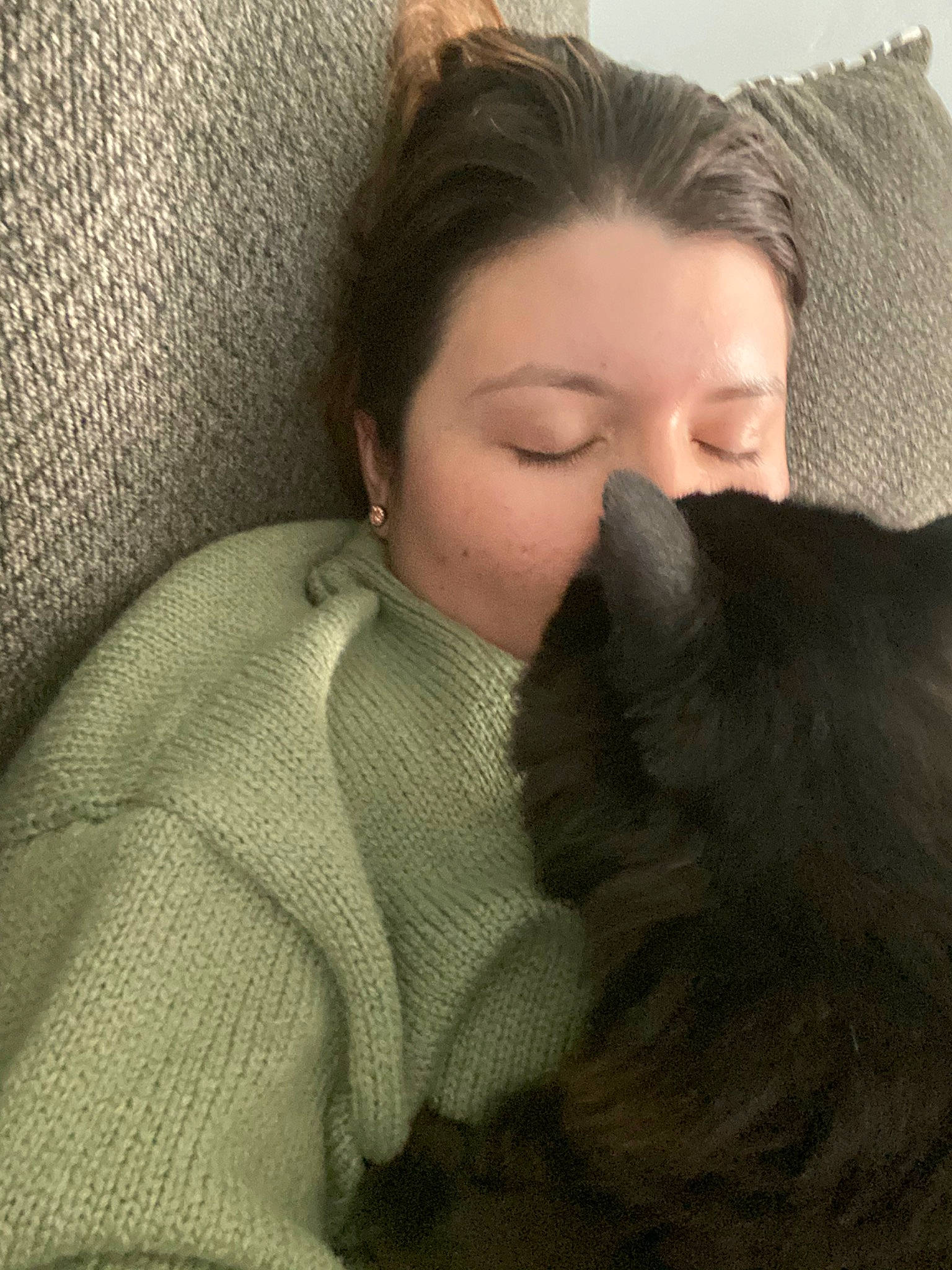 Hershey is registered to the contest to win money with this photo: canidae, carnivore, cat, comfort, companion_dog, ear, felidae, fur, hair, hug, long_hair, nap, neck, nose, sleep, small_to_medium_sized_cats, whiskers