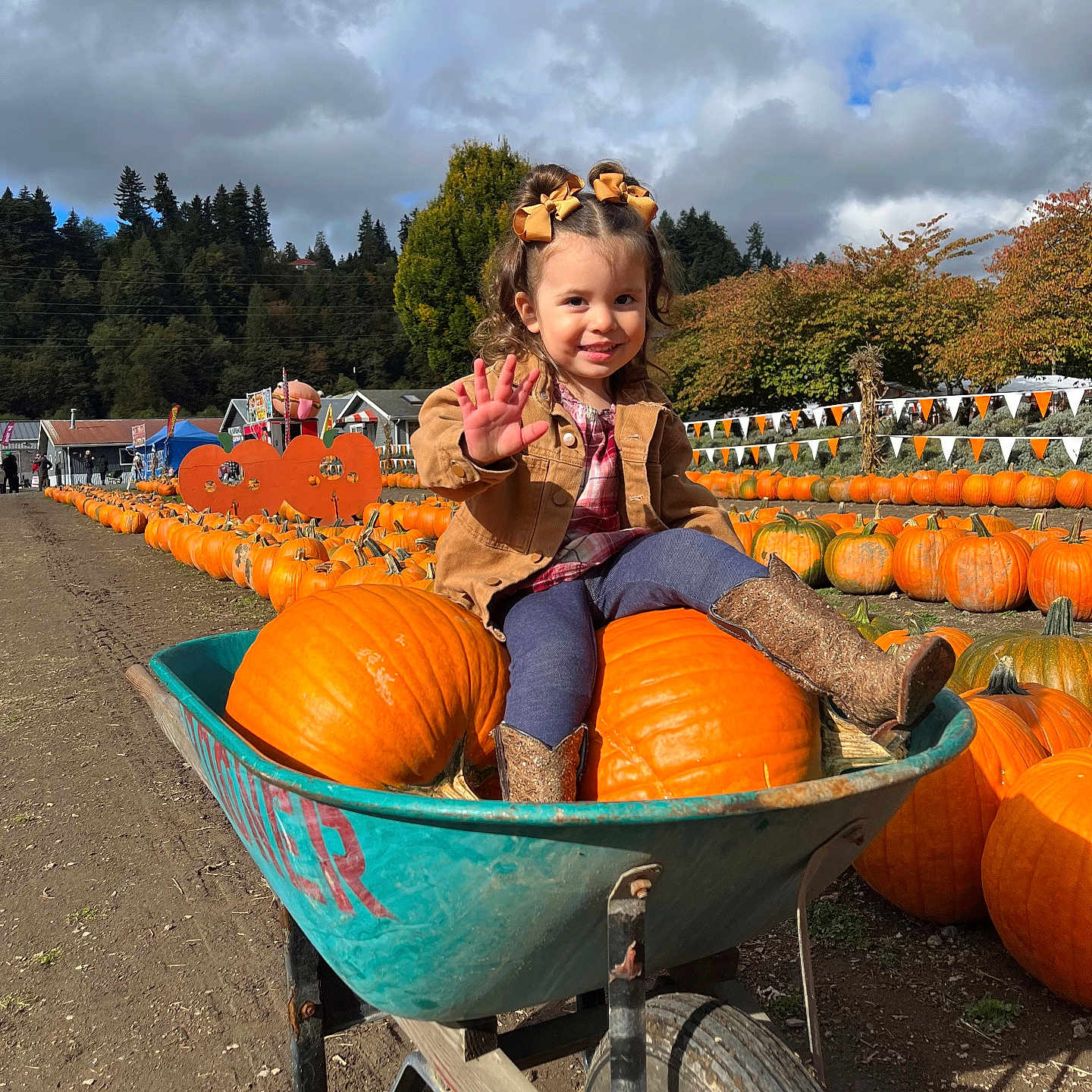 Dylan joined the competition — help win amazing prizes! child, clothing, face, female, food, footwear, girl, happy, head, machine, person, photography, plant, portrait, produce, pumpkin, shoe, squash, vegetable, wheel