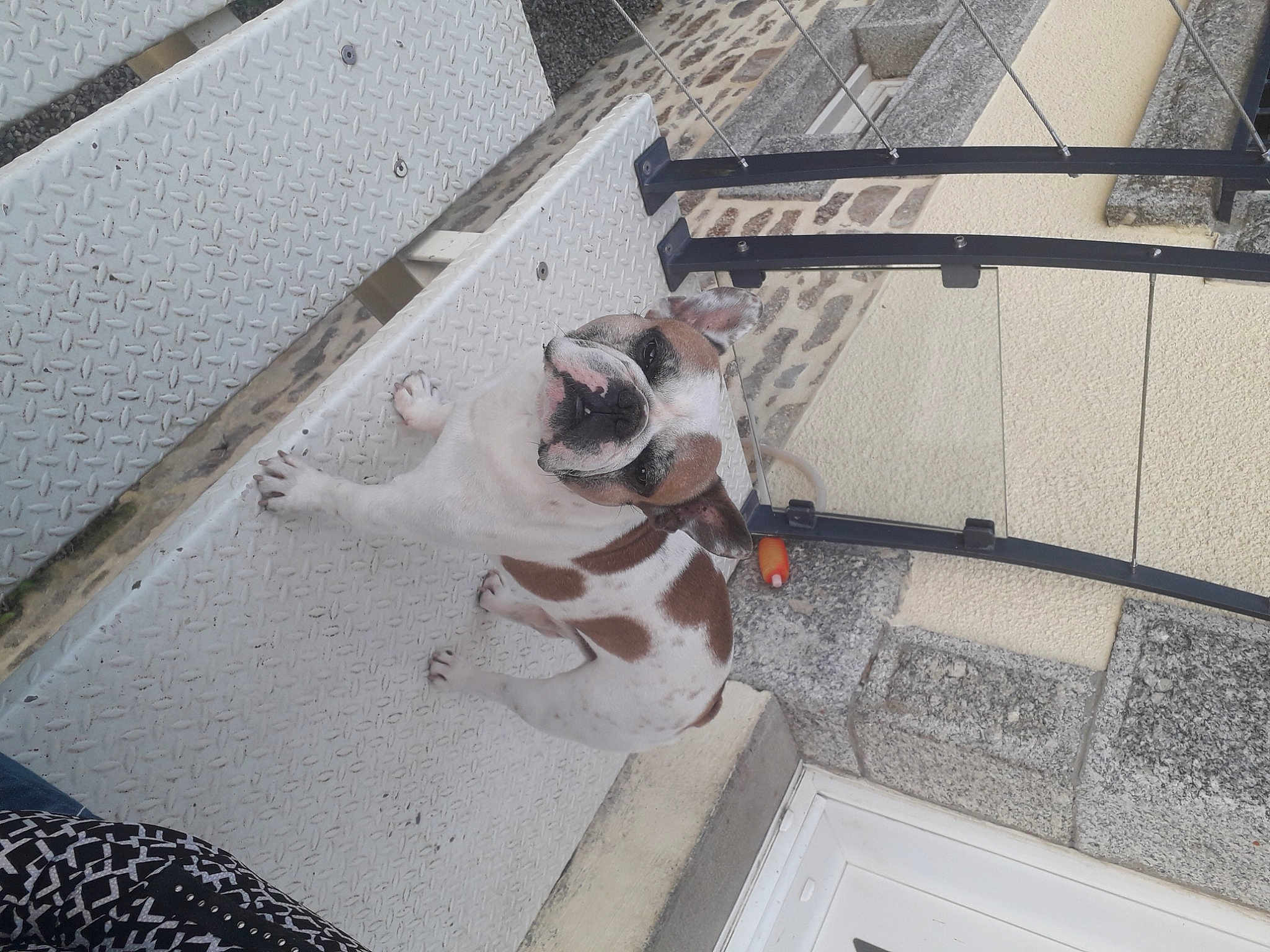 Marcel