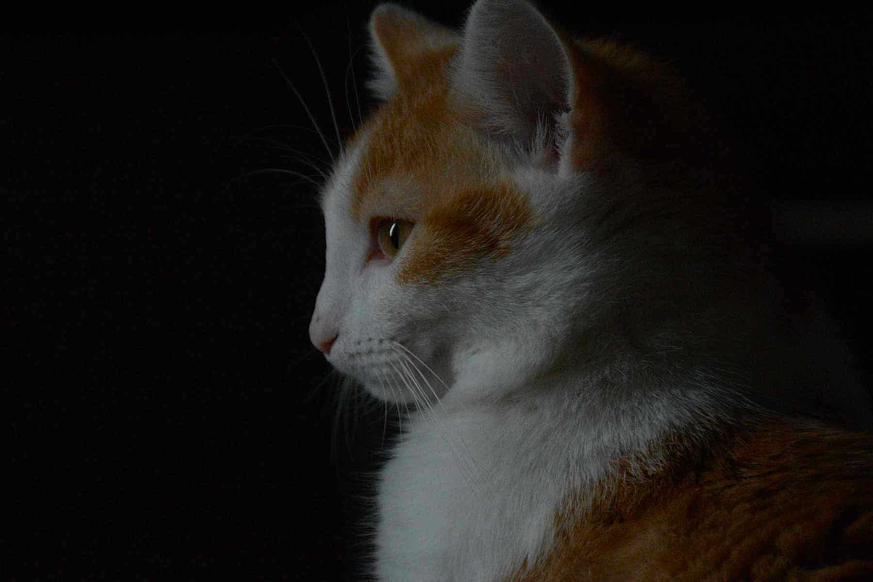 Winny