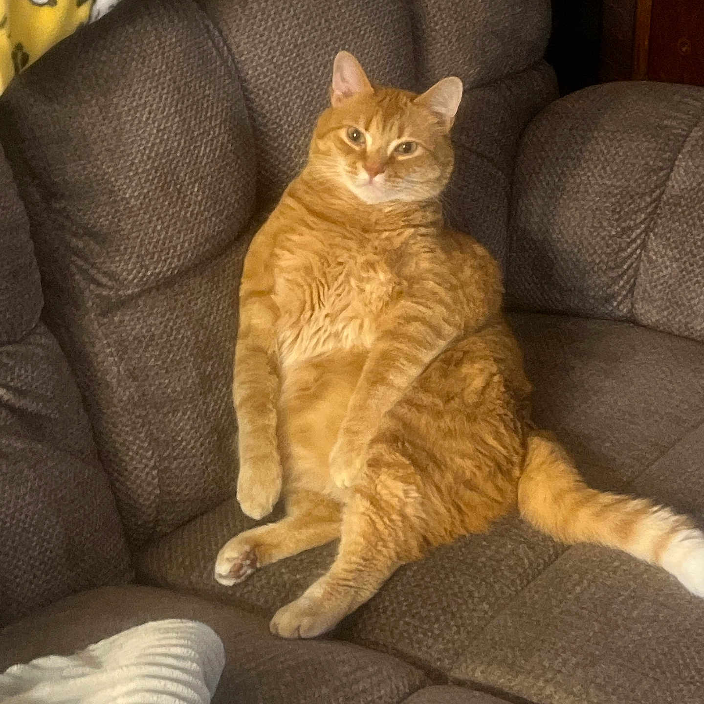 Oliver