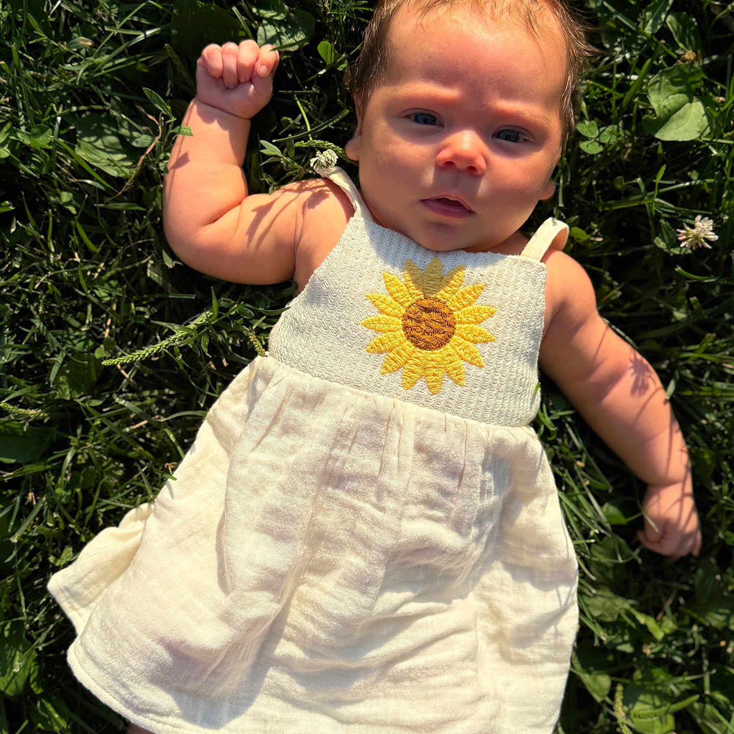 Evelene joined the competition — help win amazing prizes! baby, bow, child, dress, expression, face, foot, grass, greenery, hair_accessory, hand, infant, laying_down, nature, outdoor, portrait, skin, summer, sunflower, sunlight