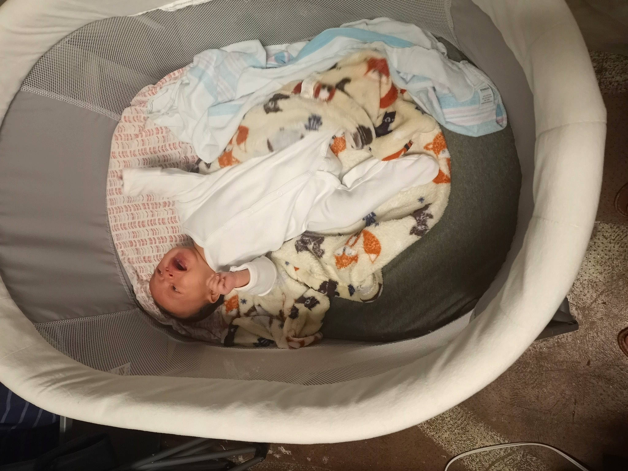 Ezra joined the competition — help win amazing prizes! baby, baby_carriage, baby_products, baby_safety, baby_sleeping, baby_toddler_clothing, bedding, bedtime, carmine, child, comfort, headgear, infant_bed, linens, nap, person, room, sleep, sleeve, textile