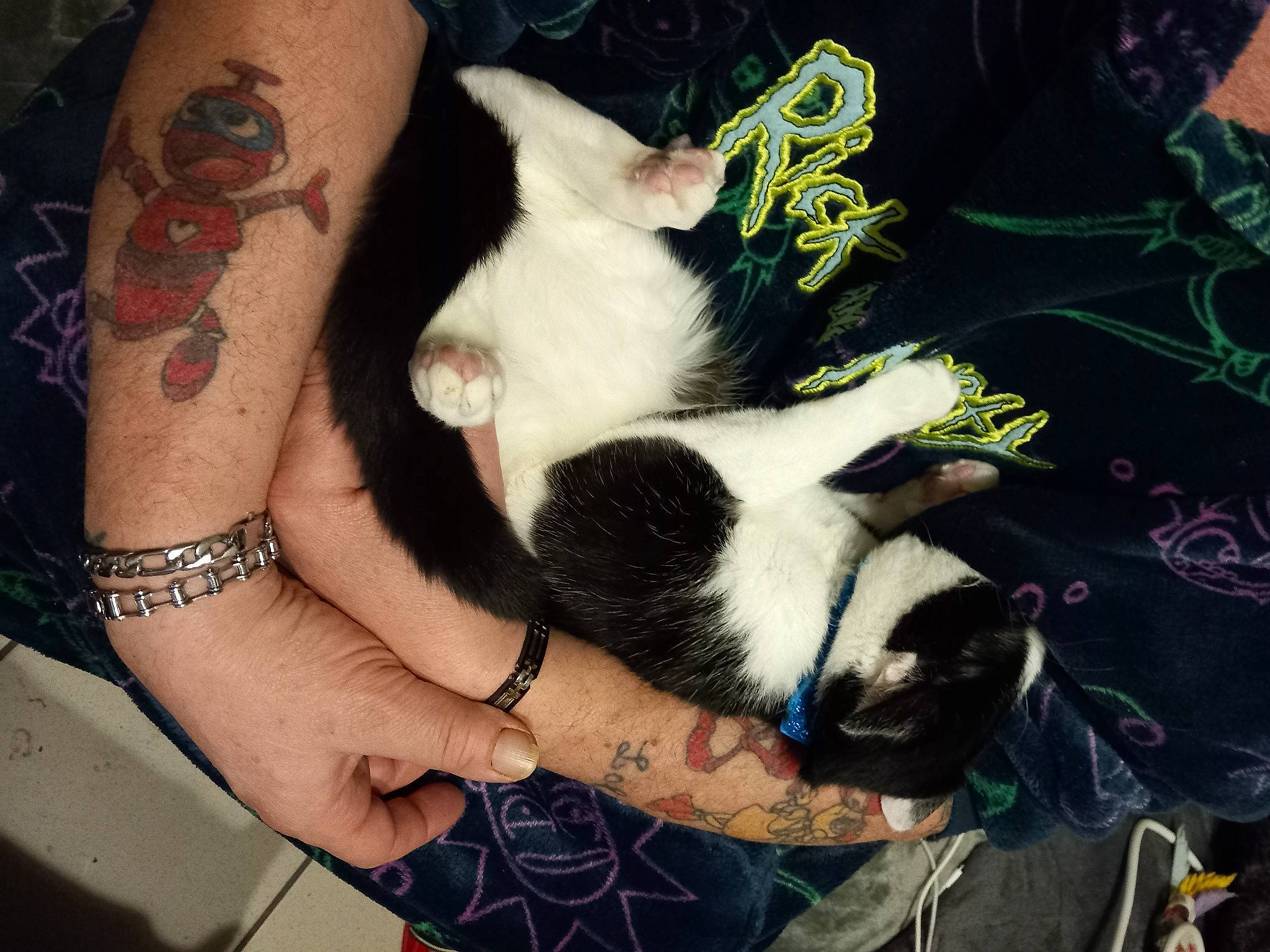 Chipie a rejoint le concours — aidez-le/la à gagner de superbes lots ! carnivore, cat, companion_dog, elbow, felidae, formal_wear, fur, gesture, human_leg, lap, leg, nail, plant, small_to_medium_sized_cats, tail, tattoo, temporary_tattoo, thigh, whiskers, wrist