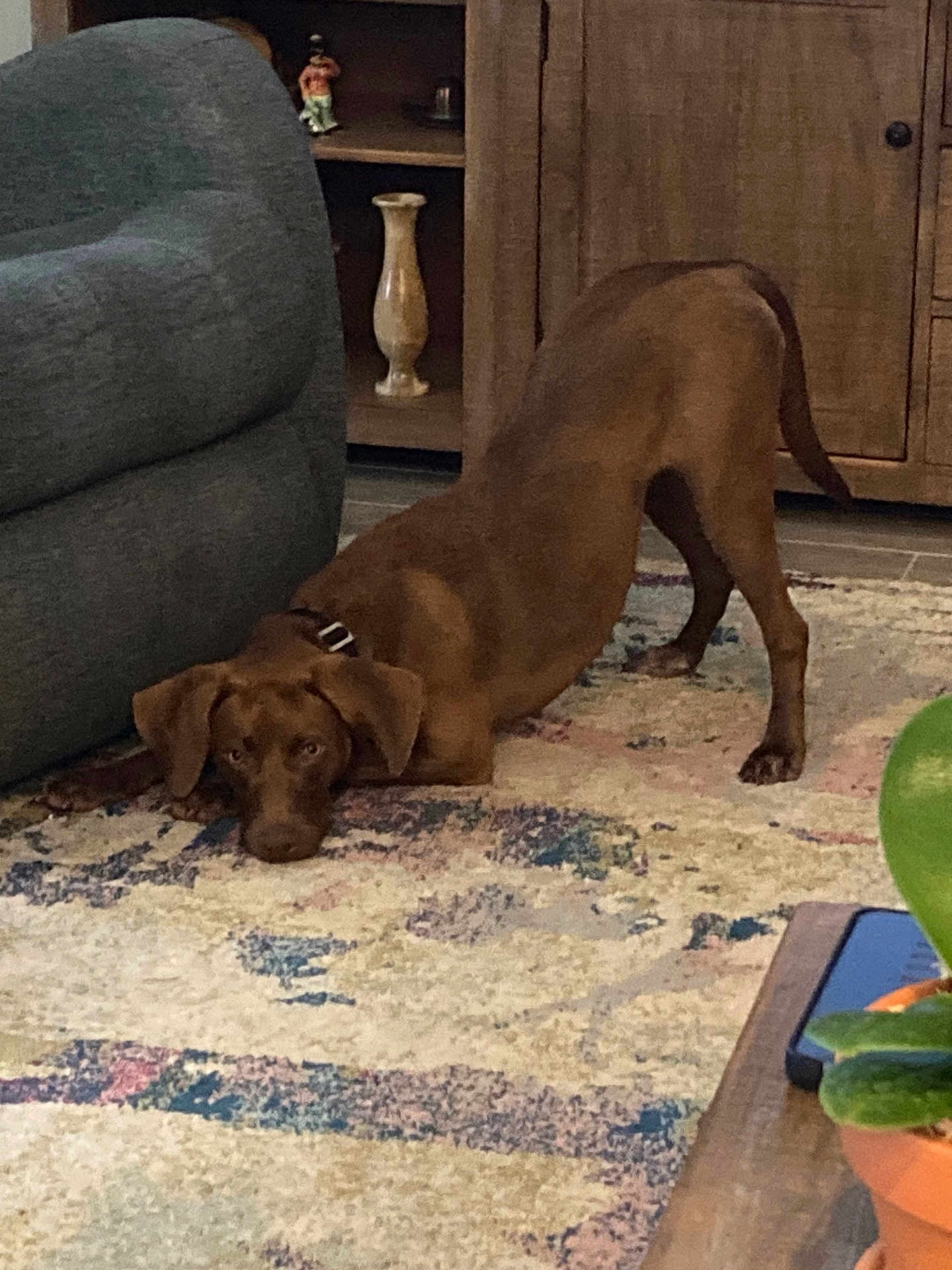 Maggie
