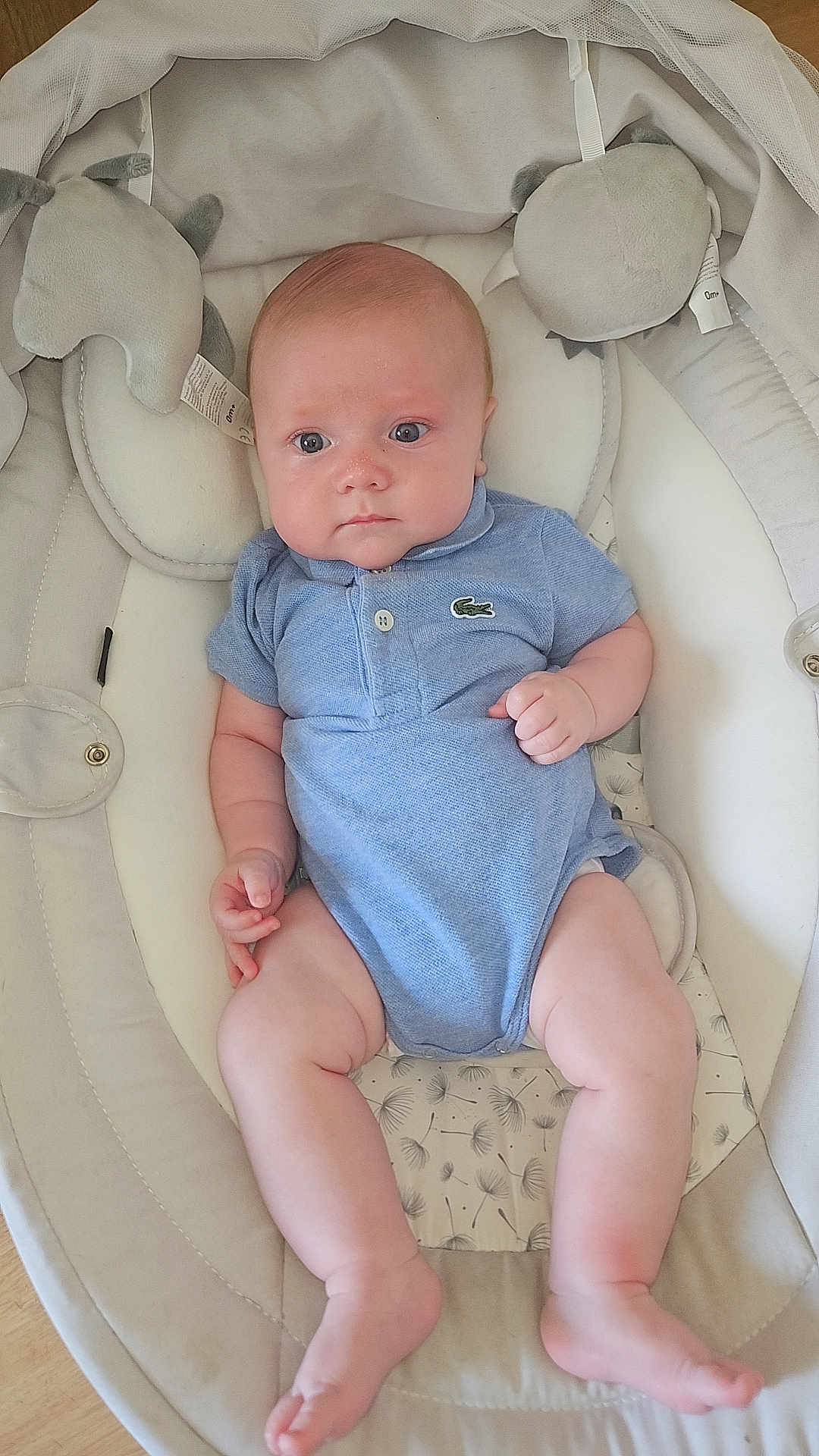Maylan participe au concours pour gagner de l'argent avec cette photo : baby, infant, blue_onesie, plush_toys, baby_seat, cushioned_seat, cute, chubby_legs, indoors, floor, soft_lighting, looking_away, child, newborn, comfortable, relaxed, small_hands, feet, head, expression