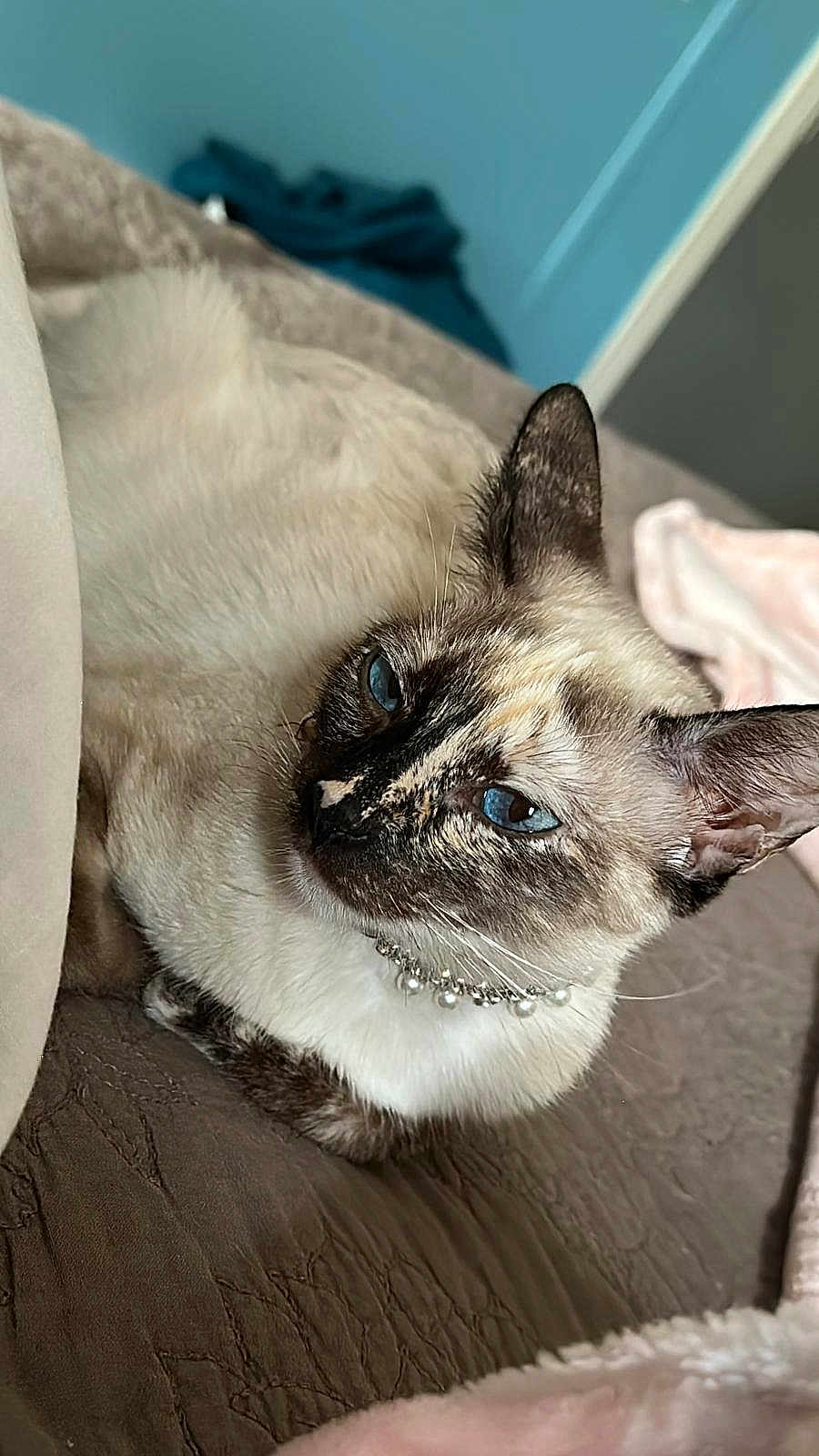 Wisky