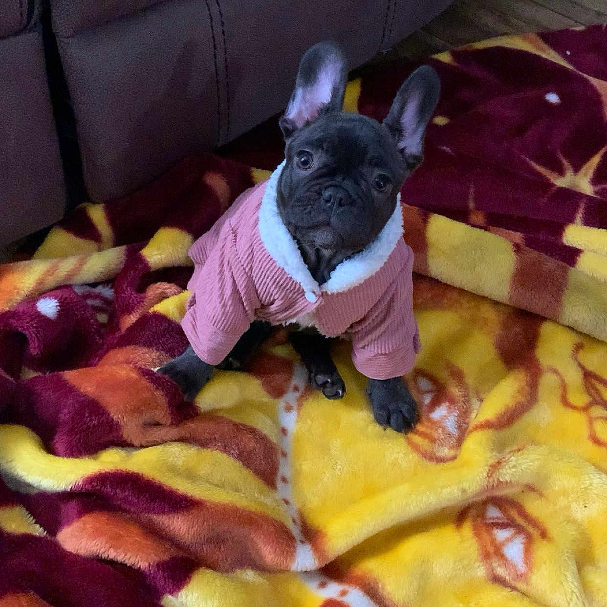 Little Lady