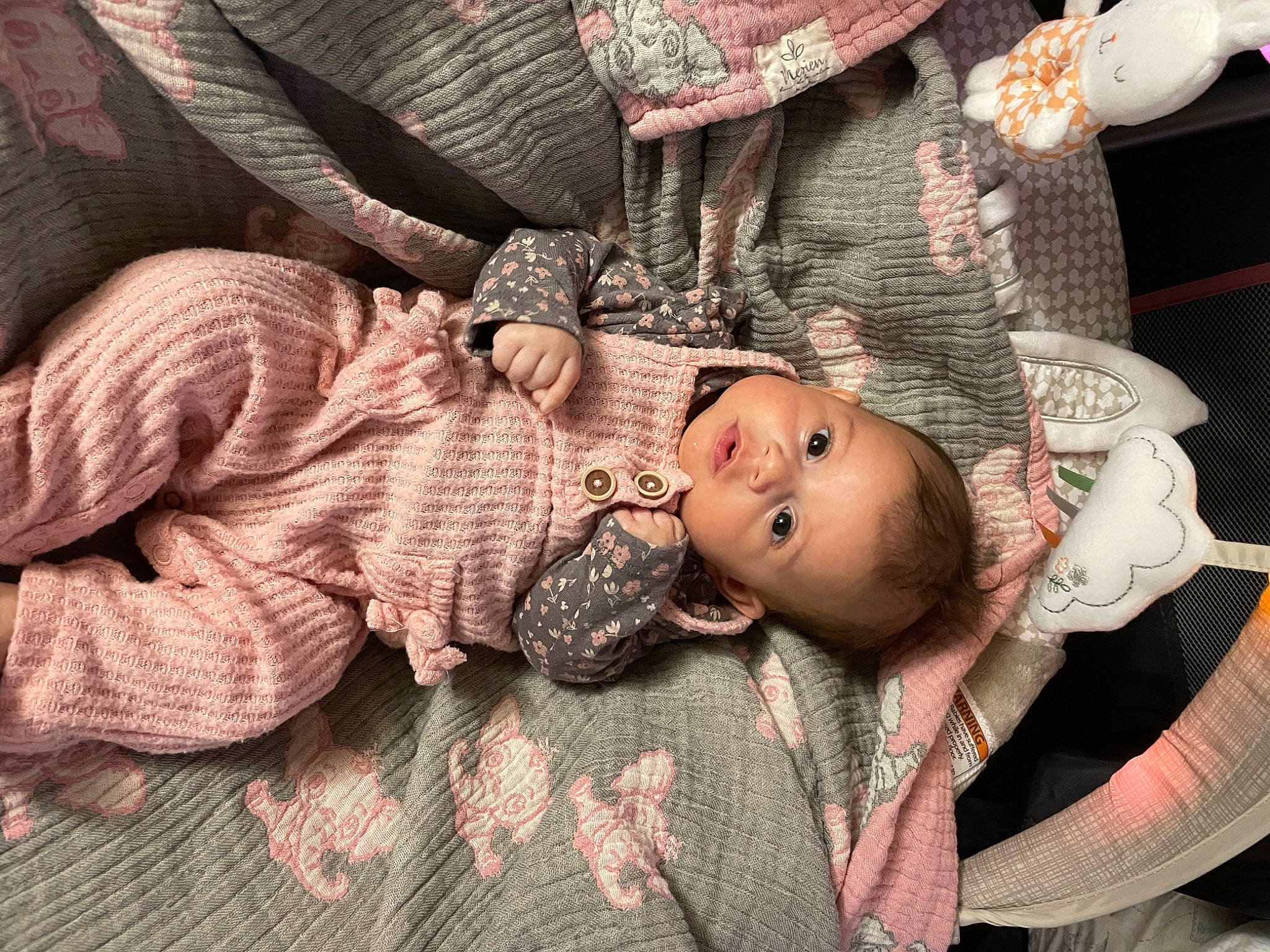 Hailey joined the competition — help win amazing prizes! baby, baby_products, baby_toddler_clothing, cheek, child, comfort, doll, eye, fur, head, human_body, linens, pattern, person, sitting, skin, toddler, toy, tree, wood