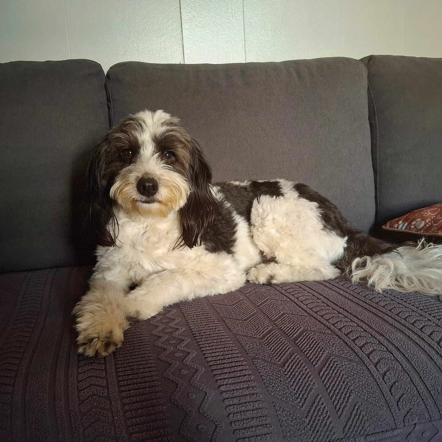 Milo