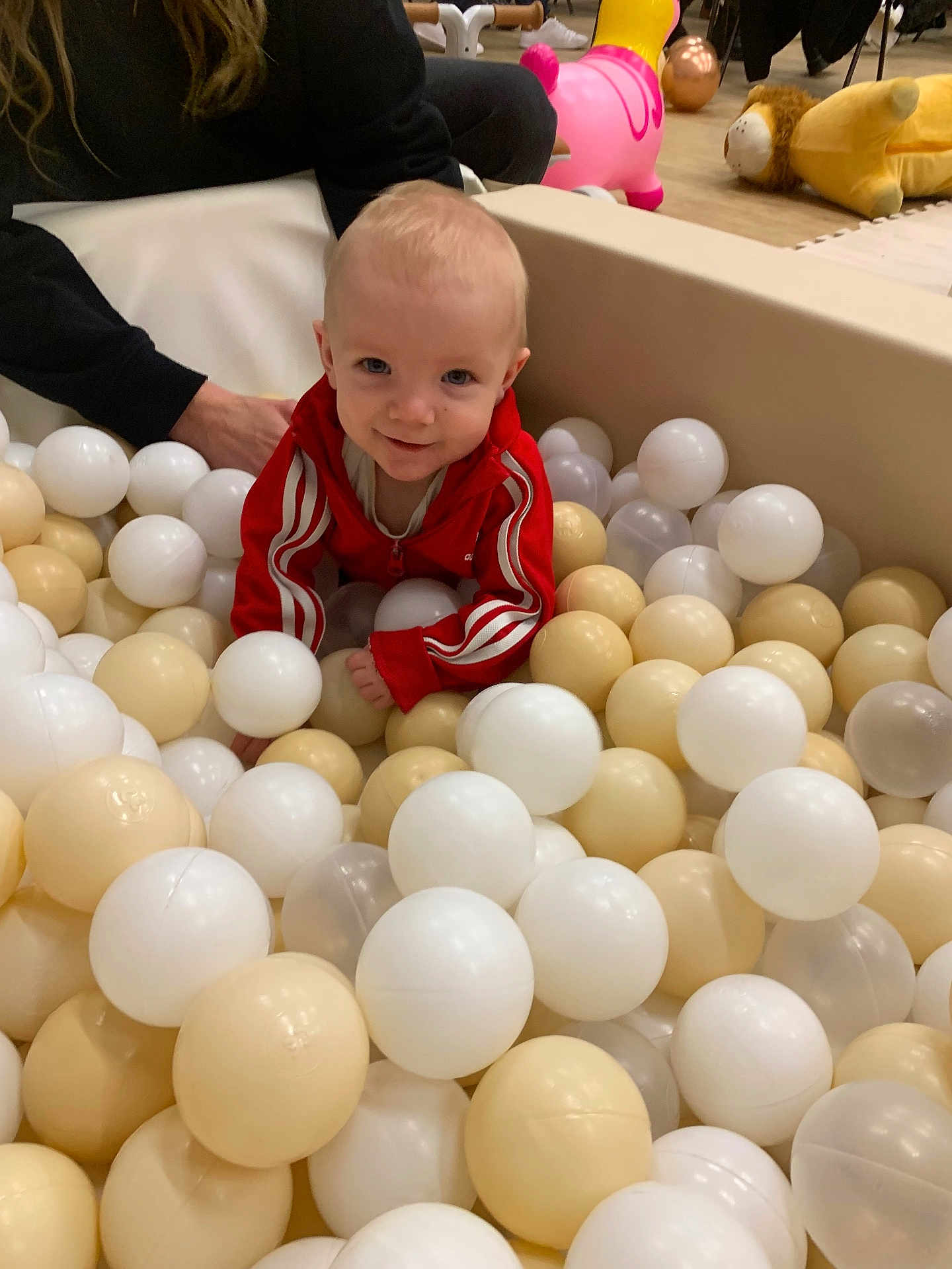 Lennie joined the competition — help win amazing prizes! baby, child, ball_pit, plastic_balls, red_jacket, indoor, toy, person, smiling, play, crawling, adult_arm, floor, colorful, cute, fun, happy, young_child, casual_clothing, playroom