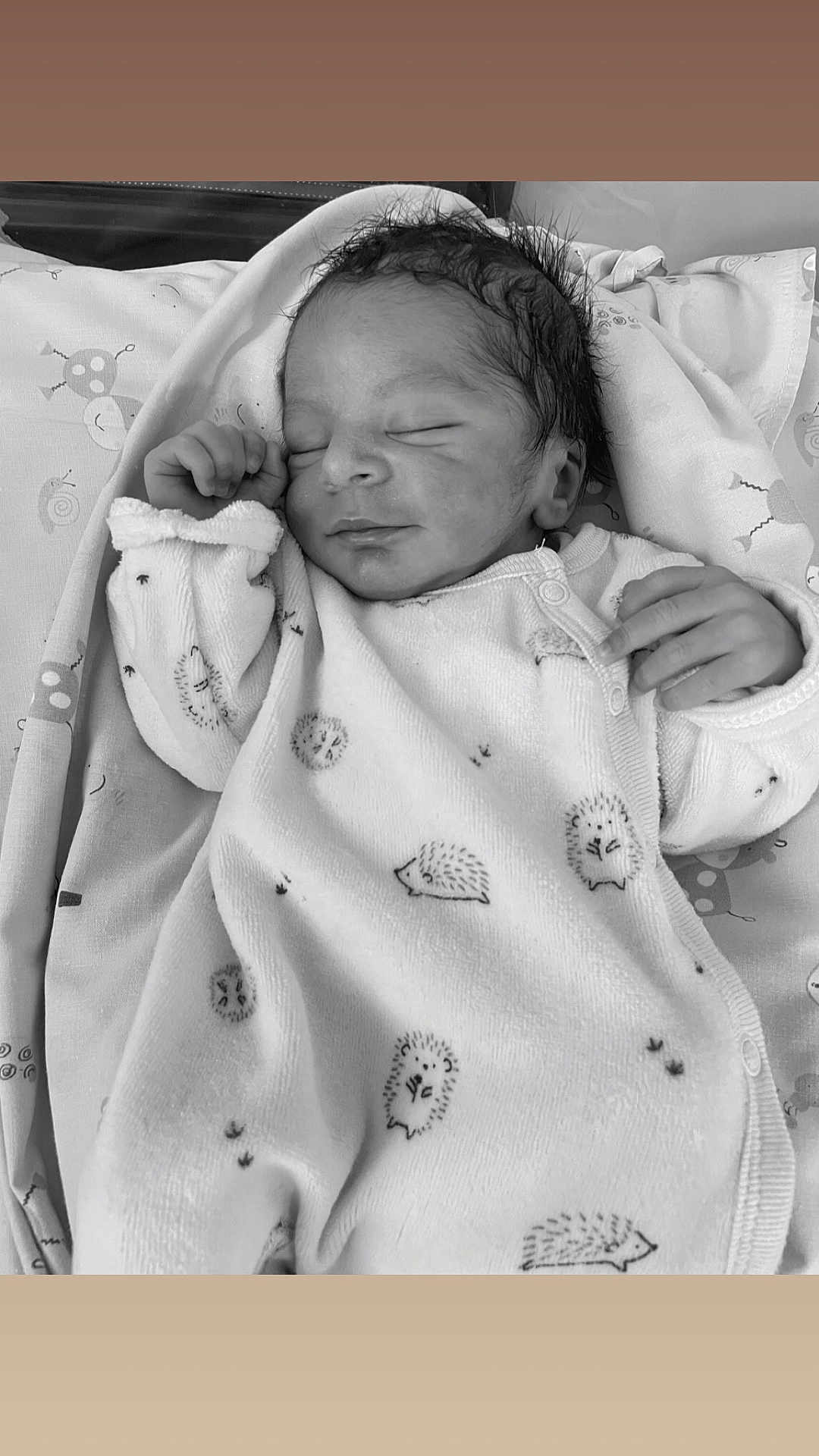 Kemal participe au concours pour gagner de l'argent avec cette photo : newborn, baby, sleeping, blanket, hedgehog_pattern, monochrome, soft, peaceful, infant, cute, wrapped, resting, child, bed, clothing, portrait, cozy, small_hands, face, relaxation