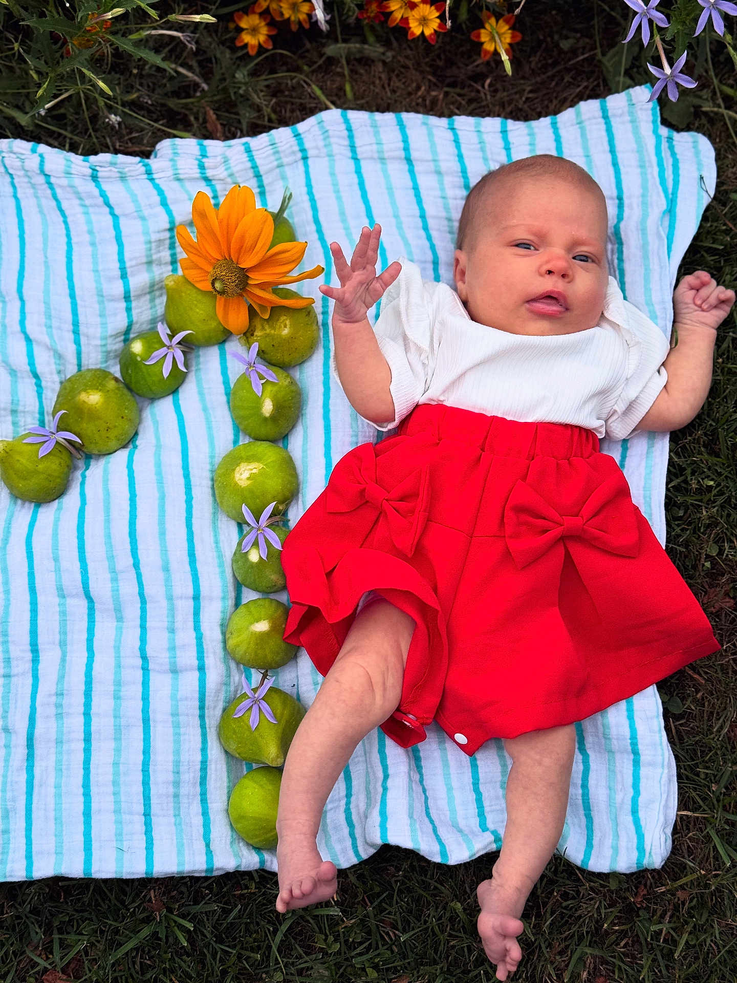 Elena participe au concours pour gagner de l'argent avec cette photo : baby, infant, blanket, striped, red_skirt, white_top, flowers, green_fruits, orange_flower, purple_flowers, outdoor, grass, nature, person, skin, feet, hand, lying_down, cute, colorful