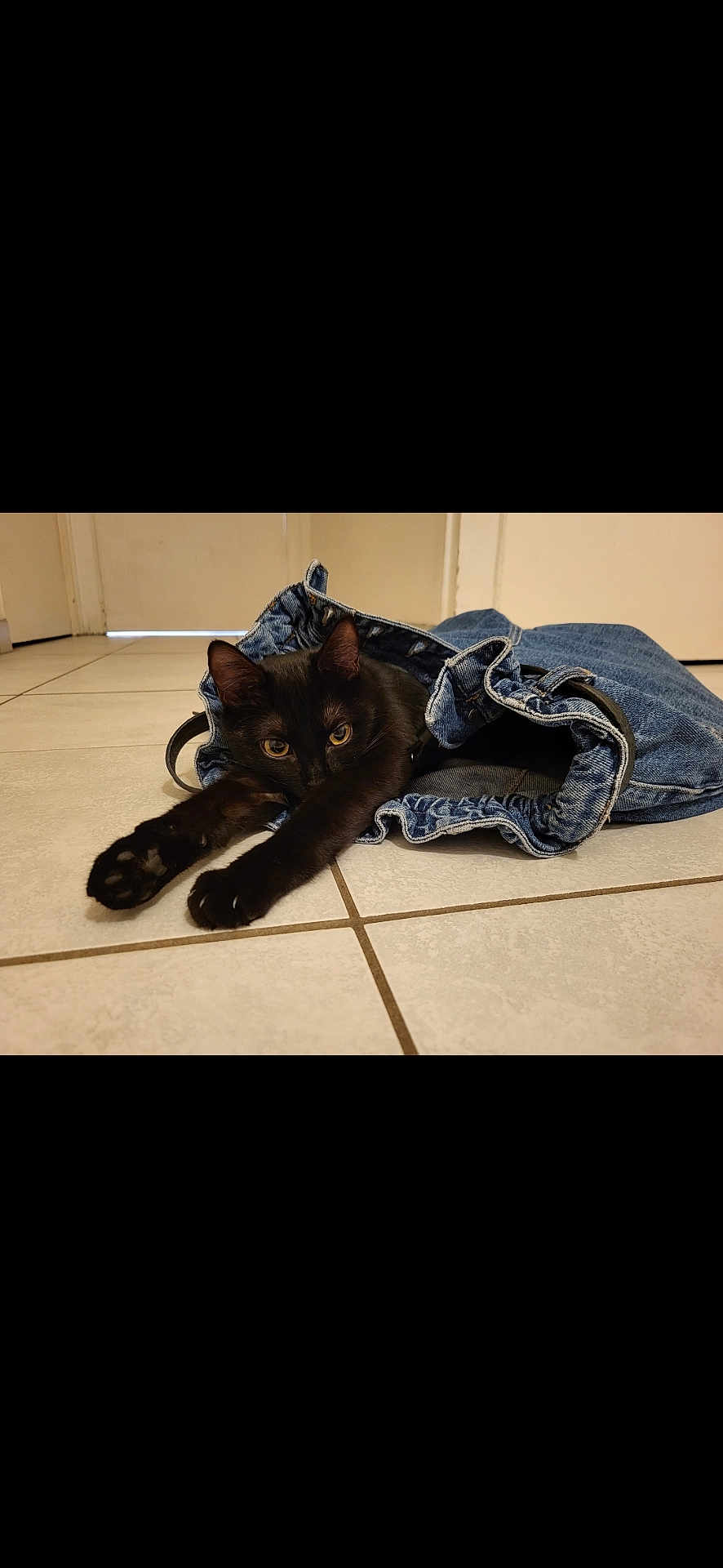 Mia