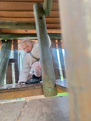 Ambre participe au concours pour gagner de l'argent avec cette photo : beam, child, flooring, fun, hardwood, house, leisure, lumber, person, plank, recreation, sitting, tree, window, wood, wood_stain