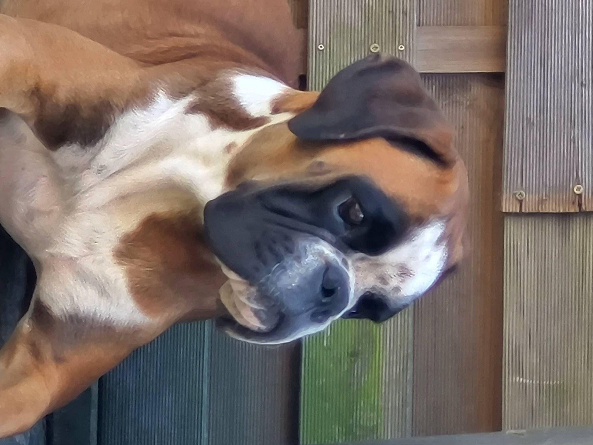 Tomba Della Cappastorta