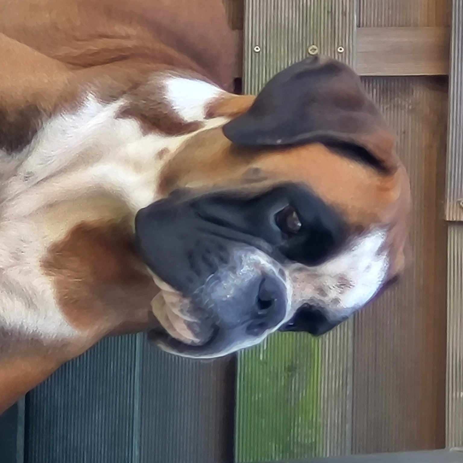 Tomba Della Cappastorta